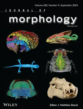  Journal of Morphology | Zeitschrift |  Sack Fachmedien