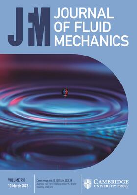  Journal of Fluid Mechanics | Zeitschrift |  Sack Fachmedien
