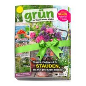  Grün | Zeitschrift |  Sack Fachmedien