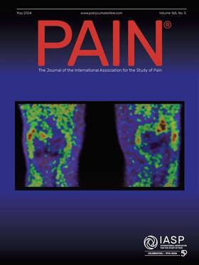 Pain | Lippincott | Zeitschrift | sack.de