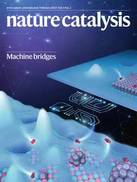  Nature Catalysis | Zeitschrift |  Sack Fachmedien