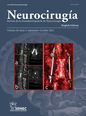  Neurocirugia (English Edition) | Zeitschrift |  Sack Fachmedien