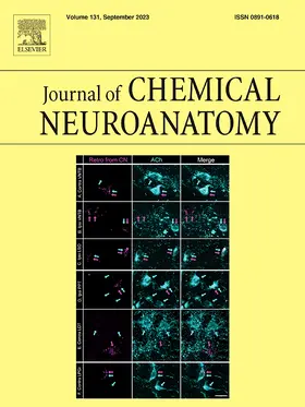  Journal of Chemical Neuroanatomy | Zeitschrift |  Sack Fachmedien