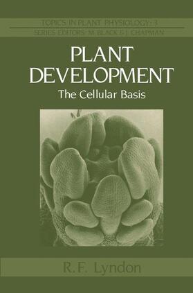 Lyndon |  Plant Development | Buch |  Sack Fachmedien