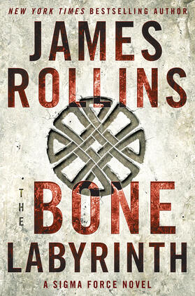 Rollins |  The Bone Labyrinth | Buch |  Sack Fachmedien