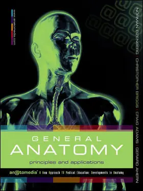 Eizenberg / Briggs / Adams |  General Anatomy | Buch |  Sack Fachmedien