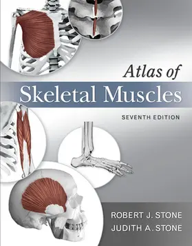 Stone |  Atlas of Skeletal Muscles | Buch |  Sack Fachmedien