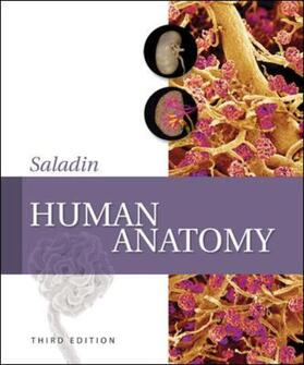 Longenbaker / Saladin |  Human Anatomy | Buch |  Sack Fachmedien