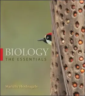 Hoefnagels |  Biology: The Essentials | Buch |  Sack Fachmedien