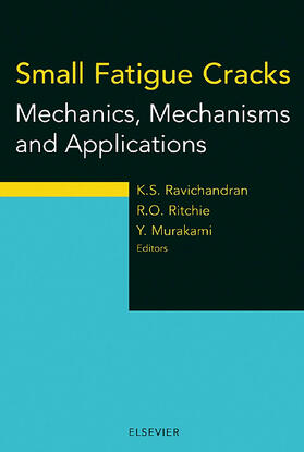 Ravichandran / Murakami / Ritchie |  Small Fatigue Cracks | Buch |  Sack Fachmedien