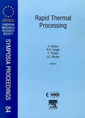 Slaoui / Theiler / Muller |  Rapid Thermal Processing | Buch |  Sack Fachmedien