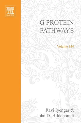 Iyengar |  G Protein Pathways, Part B: G Proteins and Their Regulators | eBook | Sack Fachmedien