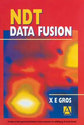 Gros DUT / Gros |  NDT Data Fusion | eBook | Sack Fachmedien