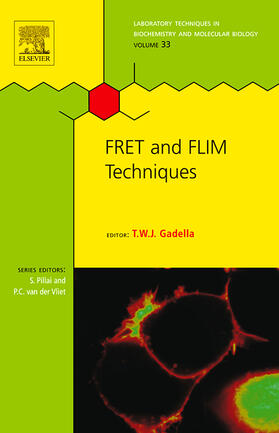 Gadella |  Fret and Flim Techniques | Buch |  Sack Fachmedien