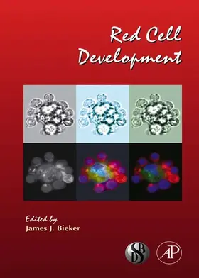 Bieker |  Red Cell Development | eBook | Sack Fachmedien