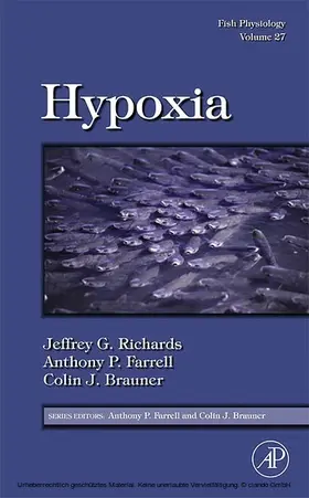 Richards / Farrell / Brauner |  Fish Physiology: Hypoxia | eBook | Sack Fachmedien