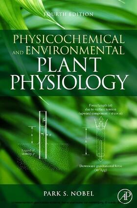 Nobel |  Physicochemical and Environmental Plant Physiology | eBook | Sack Fachmedien