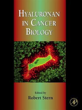 Stern |  Hyaluronan in Cancer Biology | eBook | Sack Fachmedien