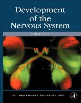 Sanes / Reh / Harris |  Development of the Nervous System | eBook | Sack Fachmedien