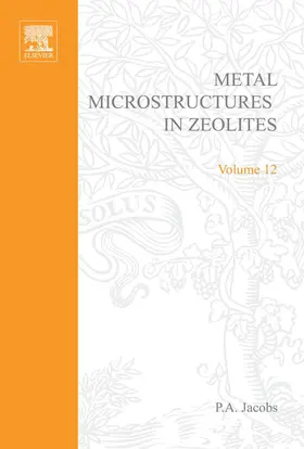 J¡ru / Schulz-Ekloff / Jacobs |  Metal Microstructures in Zeolites | eBook | Sack Fachmedien