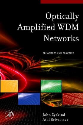 Zyskind / Srivastava |  Optically Amplified WDM Networks | eBook | Sack Fachmedien