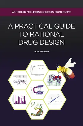 Hongmao |  A Practical Guide to Rational Drug Design | eBook | Sack Fachmedien