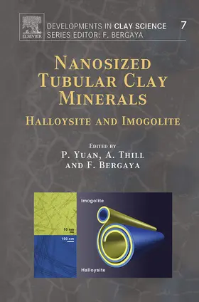 Yuan / Thill / Bergaya |  Nanosized Tubular Clay Minerals | eBook | Sack Fachmedien