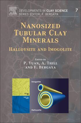 Yuan |  Nanosized Tubular Clay Minerals | Buch |  Sack Fachmedien