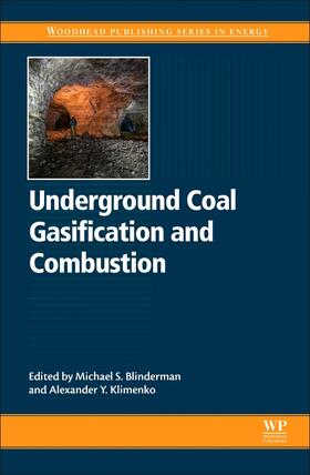 Blinderman / Klimenko |  Underground Coal Gasification and Combustion | Buch |  Sack Fachmedien