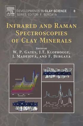 Gates / Madejova / Bergaya |  Infrared and Raman Spectroscopies of Clay Minerals | eBook | Sack Fachmedien