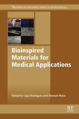 Rodrigues / Mota |  Bioinspired Materials for Medical Applications | eBook | Sack Fachmedien