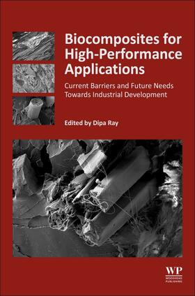 Ray |  Biocomposites for High-Performance Applications | Buch |  Sack Fachmedien