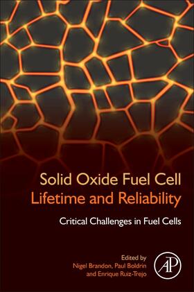 Brandon |  Solid Oxide Fuel Cell Lifetime and Reliability | Buch |  Sack Fachmedien
