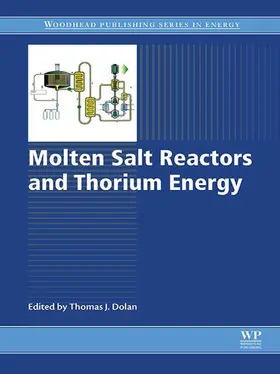 Dolan |  Molten Salt Reactors and Thorium Energy | eBook | Sack Fachmedien