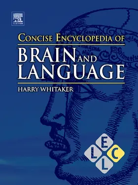 Whitaker |  Concise Encyclopedia of Brain and Language | Buch |  Sack Fachmedien