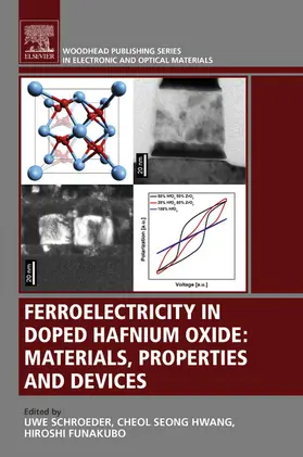 Schroeder / Hwang / Funakubo |  Ferroelectricity in Doped Hafnium Oxide | eBook | Sack Fachmedien