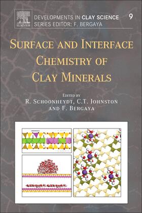 Schoonheydt / Bergaya / Johnston |  Surface and Interface Chemistry of Clay Minerals | Buch |  Sack Fachmedien