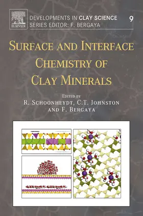 Schoonheydt / Johnston / Bergaya |  Surface and Interface Chemistry of Clay Minerals | eBook | Sack Fachmedien