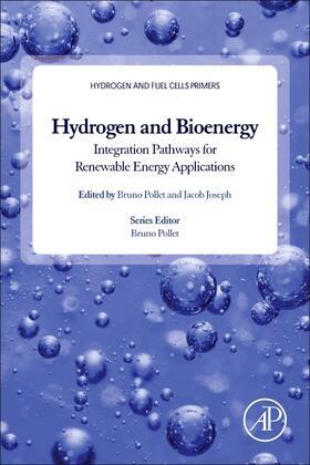 Pollet / Lamb |  Hydrogen, Biomass and Bioenergy: Integration Pathways for Renewable Energy Applications | Buch |  Sack Fachmedien