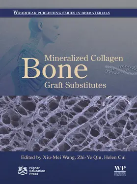 Wang / Qiu / Cui |  Mineralized Collagen Bone Graft Substitutes | eBook | Sack Fachmedien