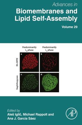 Iglic / Losada Perez / Garcia-Saez |  Advances in Biomembranes and Lipid Self-Assembly | eBook | Sack Fachmedien