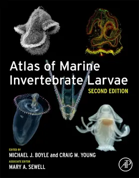 Boyle / Young / Sewell |  Atlas of Marine Invertebrate Larvae | Buch |  Sack Fachmedien