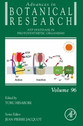 Hisabori |  ATP Synthase in Photosynthetic Organisms | eBook | Sack Fachmedien