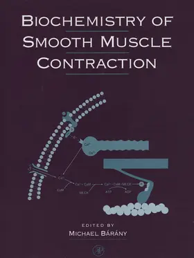 Barany |  Biochemistry of Smooth Muscle Contraction | Buch |  Sack Fachmedien