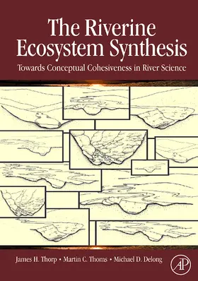 Thorp / Thoms / Delong |  The Riverine Ecosystem Synthesis | Buch |  Sack Fachmedien