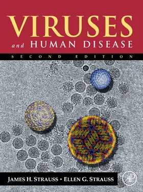 Strauss |  Viruses and Human Disease | Buch |  Sack Fachmedien