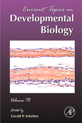 Schatten |  Current Topics in Developmental Biology | Buch |  Sack Fachmedien
