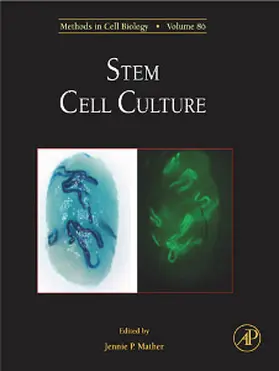 Mather |  Stem Cell Culture | Buch |  Sack Fachmedien