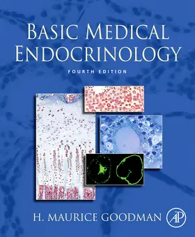 Holt / Peery |  Basic Medical Endocrinology | Buch |  Sack Fachmedien