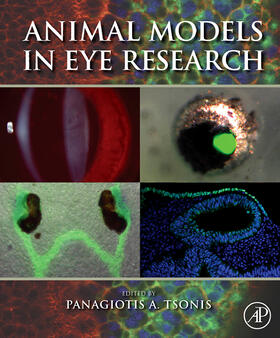  Animal Models in Eye Research | Buch |  Sack Fachmedien